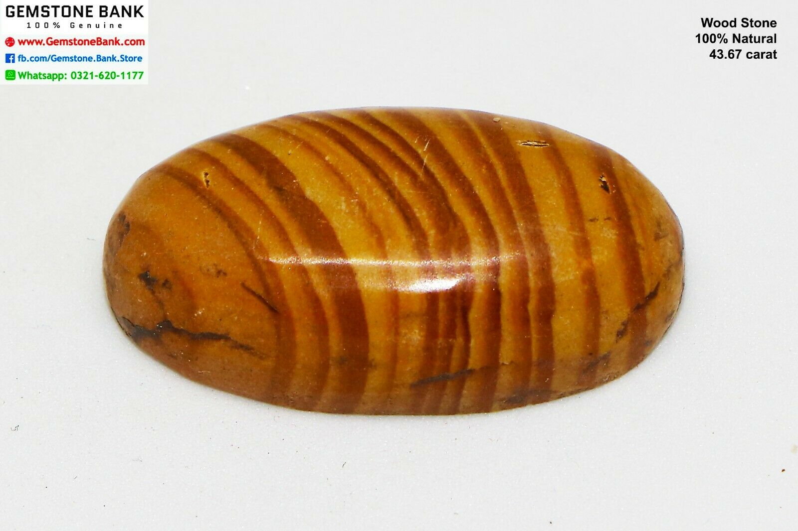 45.67 Ct -certified Natural Wood Stone -petrified Wood Oval Cabochon